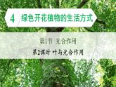 3.4.1 光合作用 第2课时 叶与光合作用 课件--2024-2025学年北师大版生物七年级上册