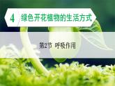 3.4.2 呼吸作用 课件--2024-2025学年北师大版生物七年级上册