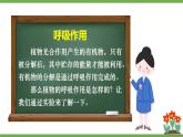 3.4.2 呼吸作用 课件--2024-2025学年北师大版生物七年级上册
