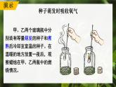3.4.2 呼吸作用 课件--2024-2025学年北师大版生物七年级上册