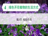 3.4.3 吸收作用 课件--2024-2025学年北师大版生物七年级上册