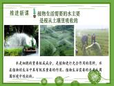 3.4.3 吸收作用 课件--2024-2025学年北师大版生物七年级上册