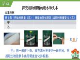 3.4.3 吸收作用 课件--2024-2025学年北师大版生物七年级上册