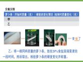 3.4.3 吸收作用 课件--2024-2025学年北师大版生物七年级上册