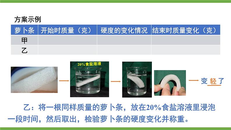 3.4.3 吸收作用 课件--2024-2025学年北师大版生物七年级上册05