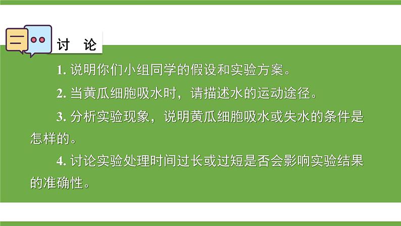 3.4.3 吸收作用 课件--2024-2025学年北师大版生物七年级上册07