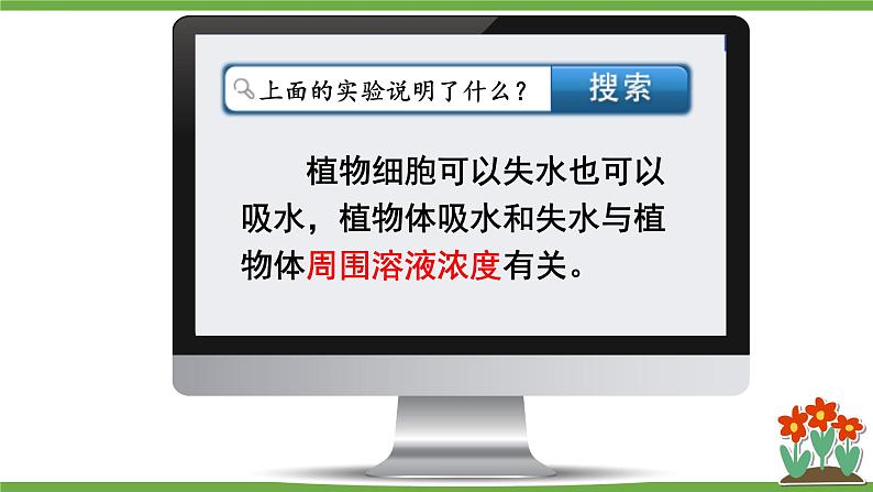 3.4.3 吸收作用 课件--2024-2025学年北师大版生物七年级上册08