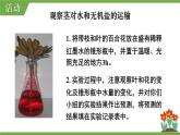 3.4.4 运输作用 课件--2024-2025学年北师大版生物七年级上册