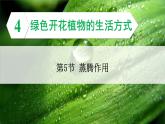 3.4.5 蒸腾作用 课件--2024-2025学年北师大版生物七年级上册