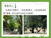 3.4.5 蒸腾作用 课件--2024-2025学年北师大版生物七年级上册