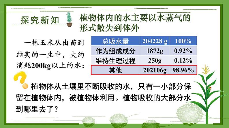 3.4.5 蒸腾作用 课件--2024-2025学年北师大版生物七年级上册03