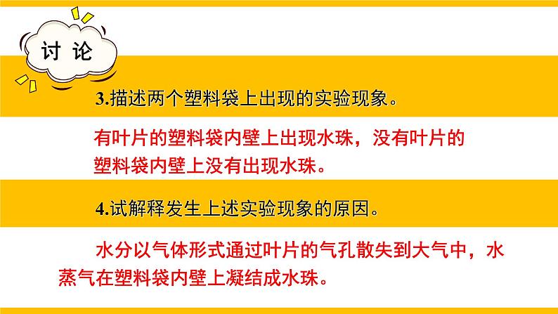 3.4.5 蒸腾作用 课件--2024-2025学年北师大版生物七年级上册08