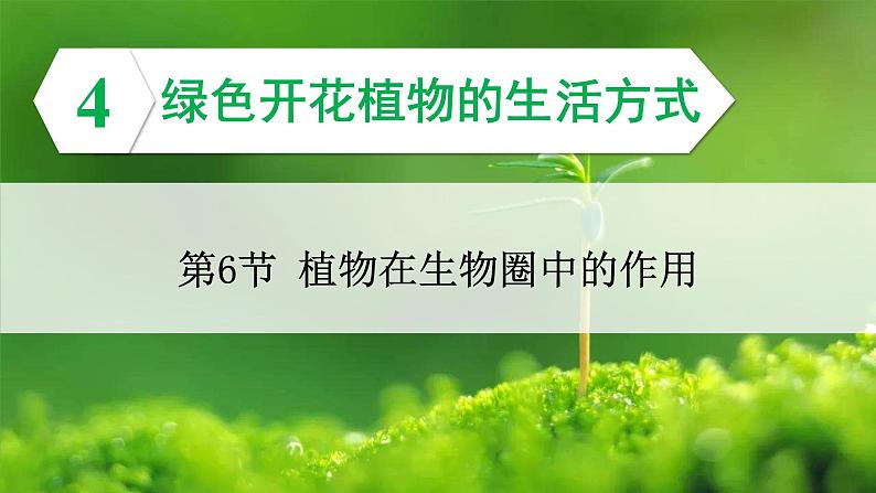 3.4.6 植物在生物圈中的作用 课件--2024-2025学年北师大版生物七年级上册01