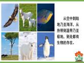 3.4.6 植物在生物圈中的作用 课件--2024-2025学年北师大版生物七年级上册