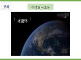 3.4.6 植物在生物圈中的作用 课件--2024-2025学年北师大版生物七年级上册