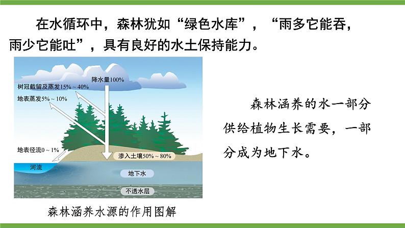 3.4.6 植物在生物圈中的作用 课件--2024-2025学年北师大版生物七年级上册06