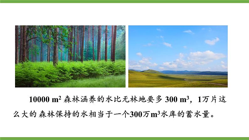 3.4.6 植物在生物圈中的作用 课件--2024-2025学年北师大版生物七年级上册07