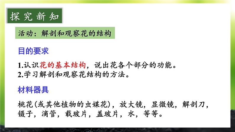 3.5.3 生殖器官的生长 课件--2024-2025学年北师大版生物七年级上册06