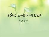 第3单元 植物的生活 单元复习 课件--2024-2025学年北师大版生物七年级上册