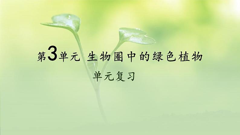 第3单元 植物的生活 单元复习 课件--2024-2025学年北师大版生物七年级上册01