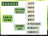 第3单元 植物的生活 单元复习 课件--2024-2025学年北师大版生物七年级上册