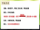 第3单元 植物的生活 单元复习 课件--2024-2025学年北师大版生物七年级上册