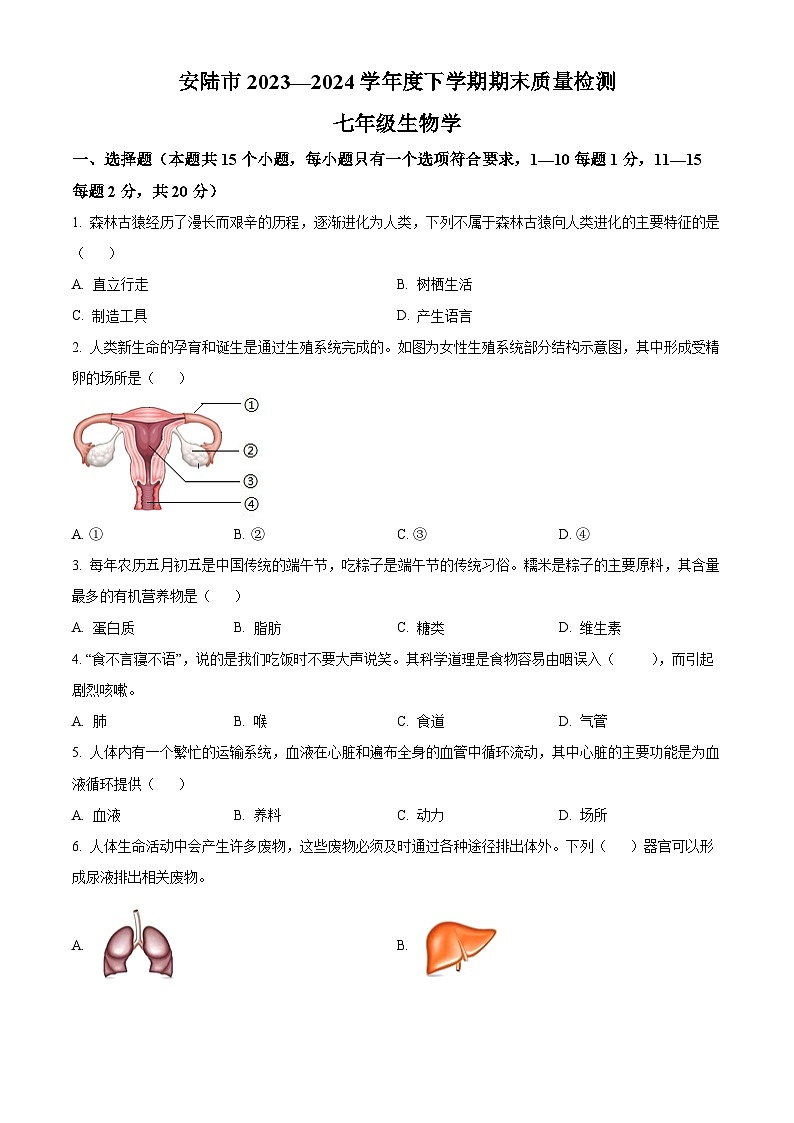 湖北省孝感市安陆市2023-2024学年七年级下学期期末生物学试题（原卷版）第1页