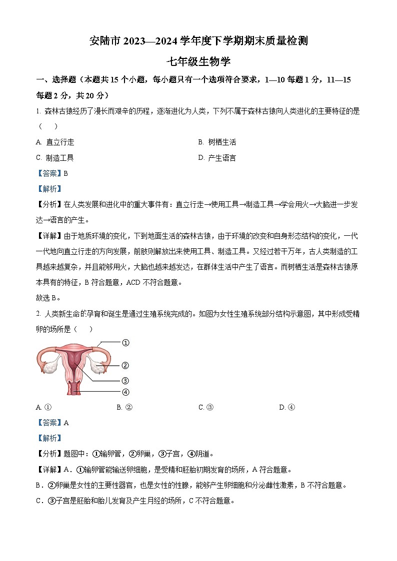 湖北省孝感市安陆市2023-2024学年七年级下学期期末生物学试题（解析版）第1页