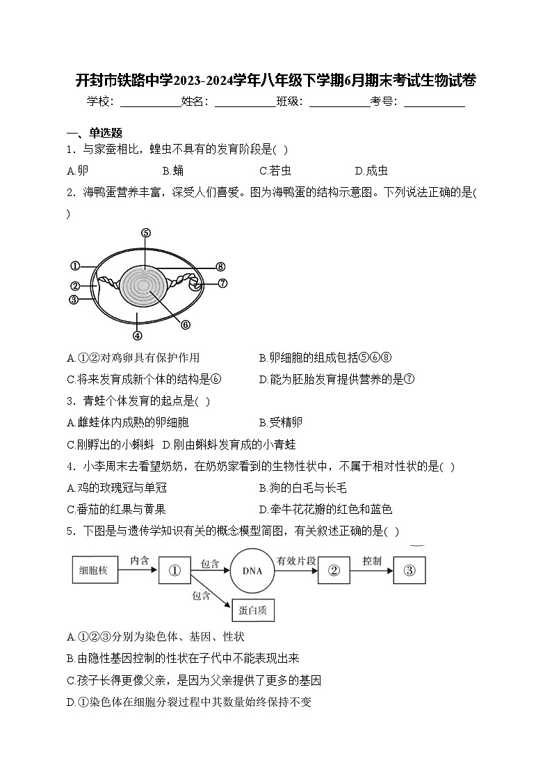 开封市铁路中学2023-2024学年八年级下学期6月期末考试生物试卷(含答案)01