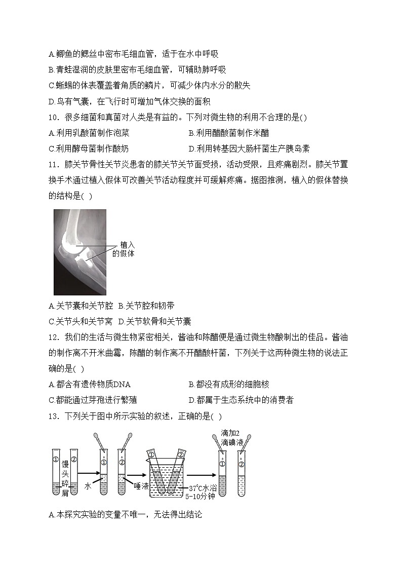 山东省菏泽市鄄城县2024届九年级下学期中考一模生物试卷(含答案)03