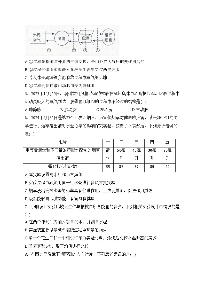 山东省日照市2023-2024学年七年级下学期期末考试生物试卷(含答案)第2页