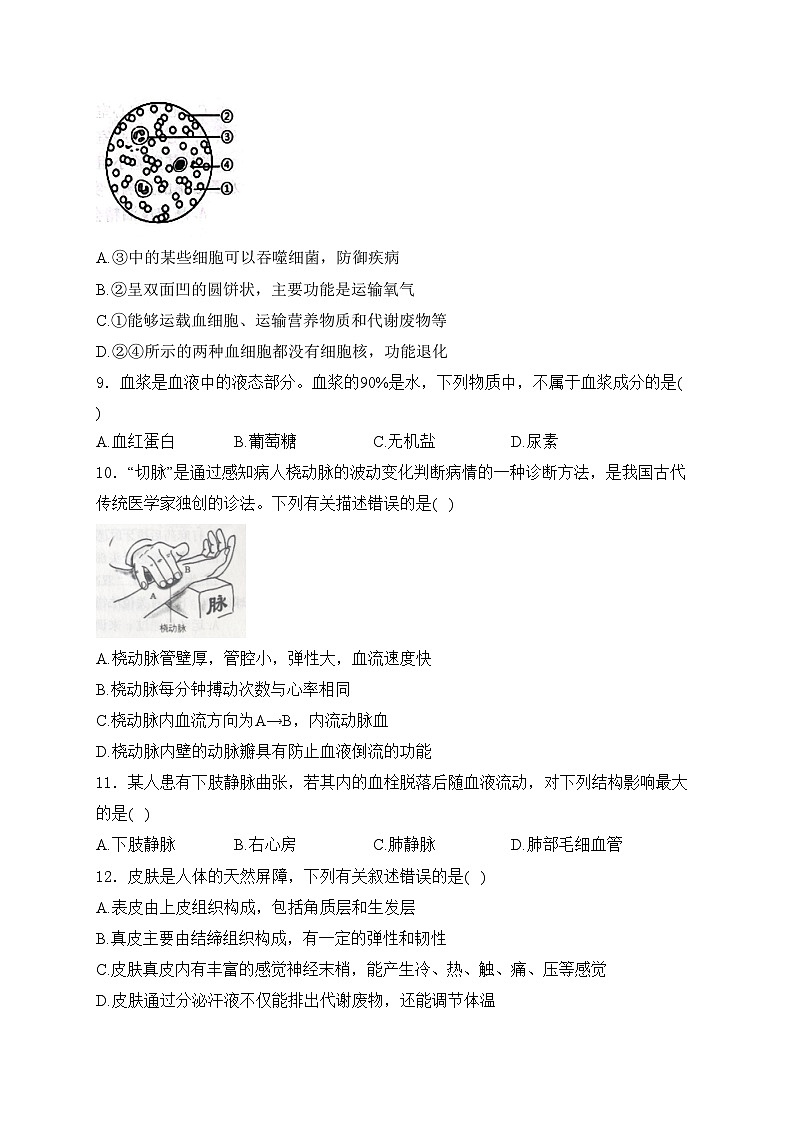 山东省日照市2023-2024学年七年级下学期期末考试生物试卷(含答案)第3页