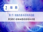 【核心素养】北师大版（2024）生物七年级上册 2.2.1第2课时 动物细胞的结构和功能 教学课件