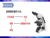 【核心素养】北师大版（2024）生物七年级上册 2.2.1第2课时 动物细胞的结构和功能 教学课件