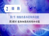 【核心素养】北师大版（2024）生物七年级上册 2.2.1第3课时 植物细胞的结构和功能 教学课件