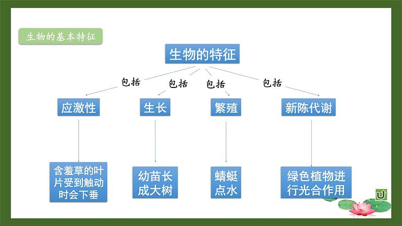 【核心素养】北师大版（2024）生物七年级上册 第1单元复习 教学课件05