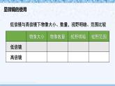 【核心素养】北师大版（2024）生物七年级上册 第2单元复习 教学课件