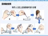 【核心素养】北师大版（2024）生物七年级上册 第2单元复习 教学课件