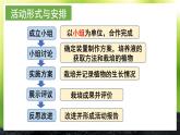 【核心素养】北师大版（2024）生物七年级上册 活动2  无土栽培一种植物 教学课件