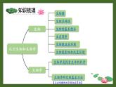 北师大版（2024）七年级生物上册课件 第1单元 单元复习