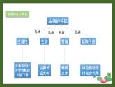 北师大版（2024）七年级生物上册课件 第1单元 单元复习