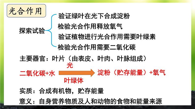 北师大版（2024）七年级生物上册课件 第3单元 单元复习04