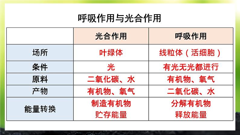 北师大版（2024）七年级生物上册课件 第3单元 单元复习06