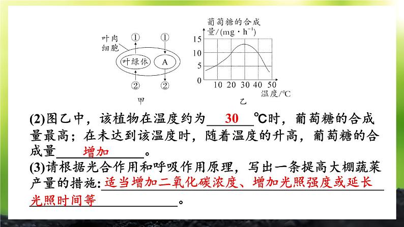 北师大版（2024）七年级生物上册课件 第3单元 单元复习08