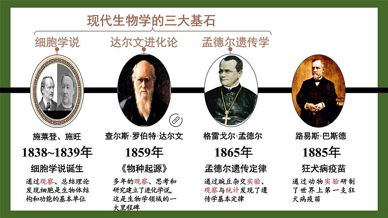 1.1.2 生物学是探索生命的科学 课件--2024-2025学年北师大版生物七年级上册08