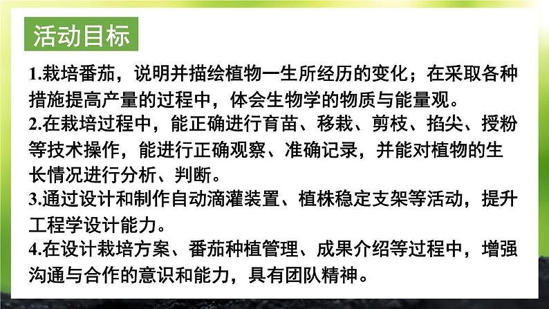 活动1 栽培番茄，观察并描绘其一生的变化 课件--2024-2025学年北师大版生物七年级上册04