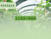 活动2 无土栽培一种植物 课件--2024-2025学年北师大版生物七年级上册
