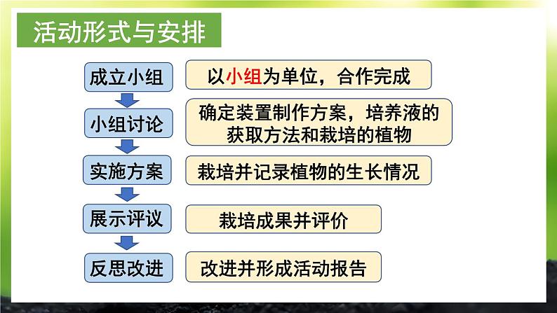 活动2 无土栽培一种植物 课件--2024-2025学年北师大版生物七年级上册05