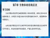 北师大版（2024）七年级生物上册课件 3.1 细胞通过分裂而增殖