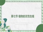 第七节 植物的无性生殖 课件教案